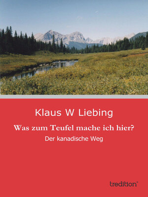 cover image of Was zum Teufel mache ich hier?